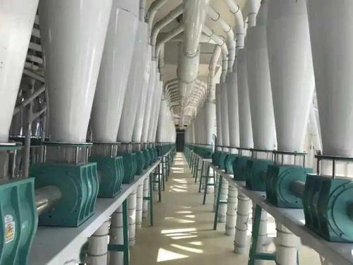 河套面粉蒙廚、蒙雪花、巴蒙久星系列全國招商暨軟件開發(fā)合作伙伴招募